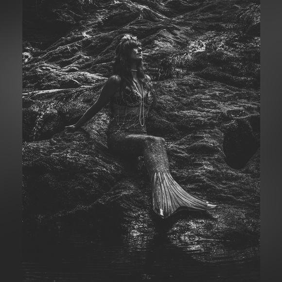 ⚡️TROLLEYWOOD IS LIVE!⚡️ - Picture 6 of 16